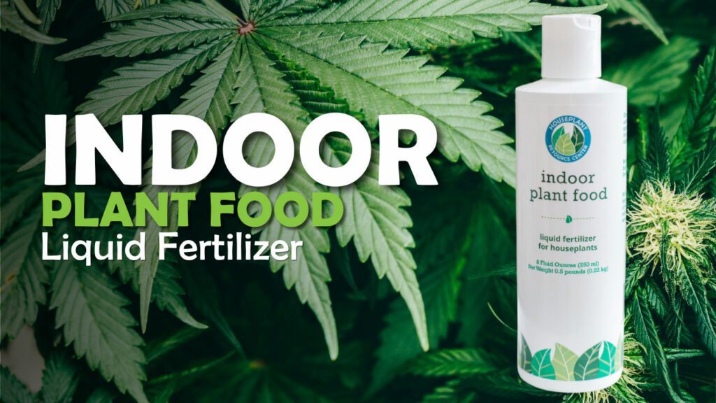 Indoor Plant Food Cannabis